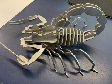 Skorpion 6mm Edelstahl unbehandelt