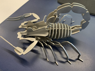 Skorpion 5mm Edelstahl unbehandelt